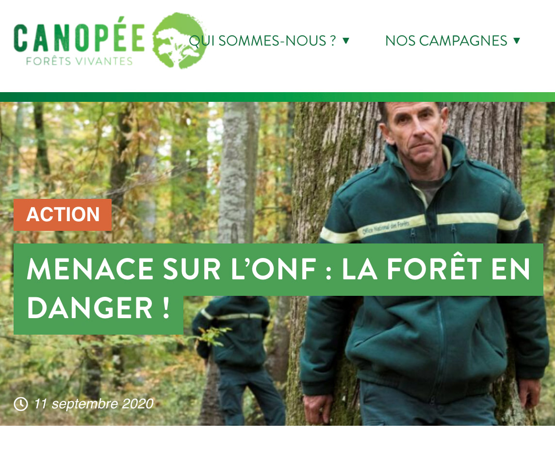 Site-canopee