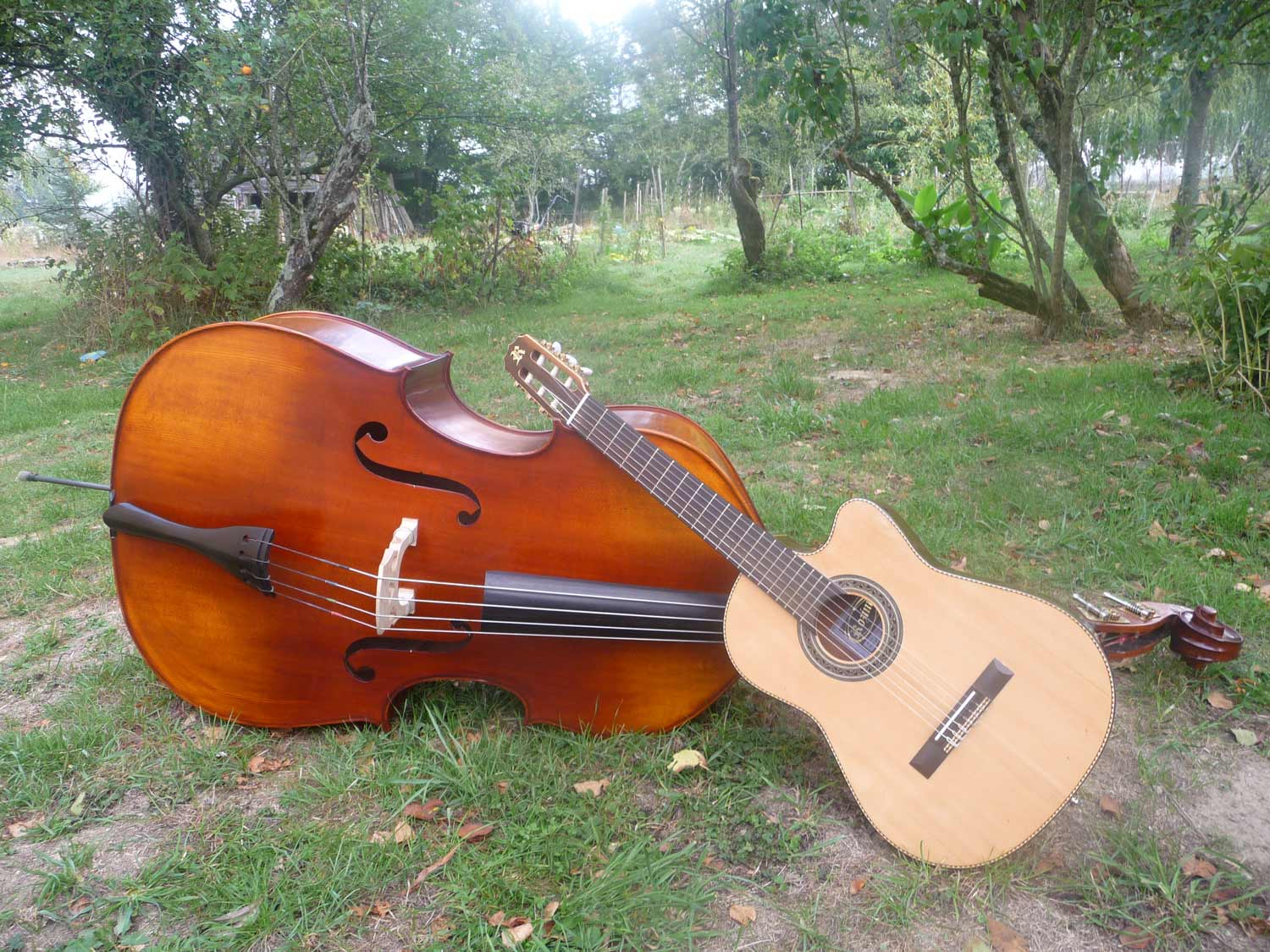 Contre basse et violon