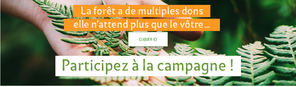 campagne_foretenvie