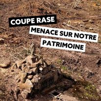 photo_video_canopee