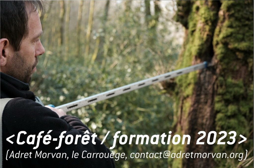 24 JUIN Café forêt