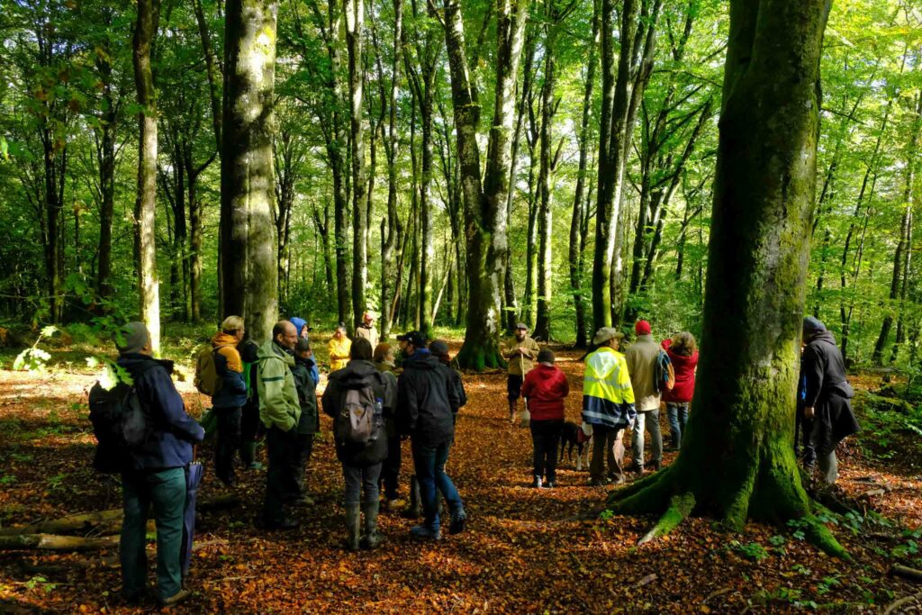 25 novembre – 18h30  Café forêt : clôture de la formation forêt 2023