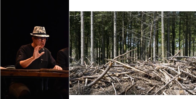 Pour qui sonne le douglas : lecture-spectacle avec Jules VIPALDO