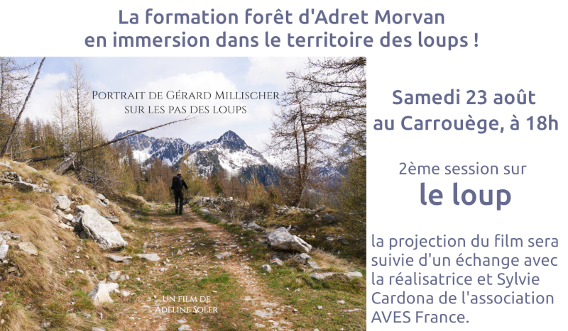samedi 23 août, à 18h : formation forêt