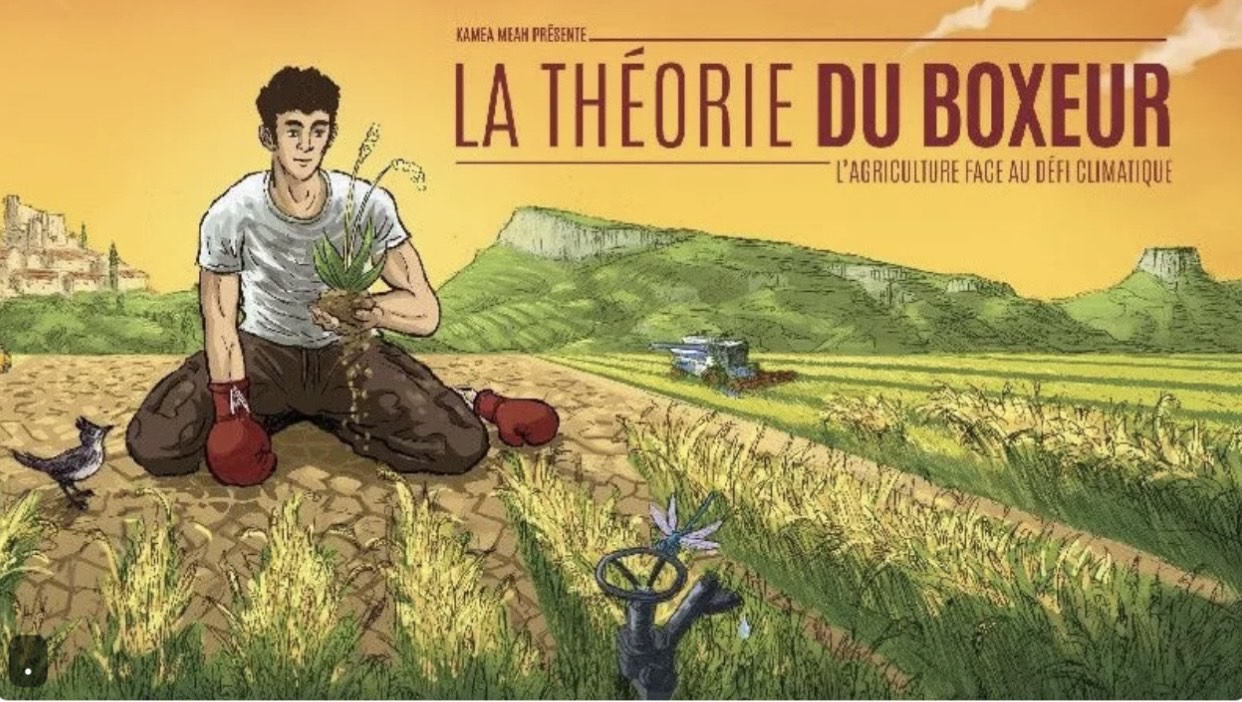 ciné-club : la théorie du boxeur